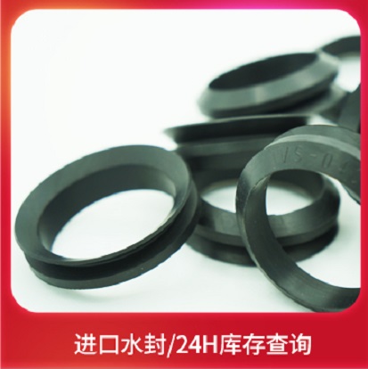 进口V 型密封圈/水封VA/VS/VL/VE